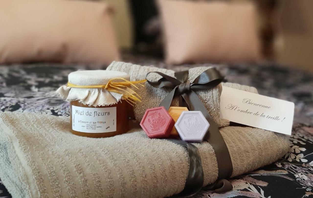 Bed and breakfast A L'OMBRE DE LA TREILLE -Proche Saint-Emilion Extérieur photo